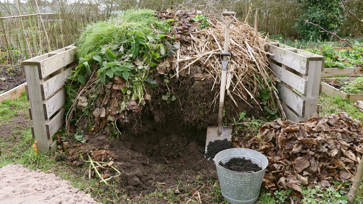 Tas de compost dans un bac de palettes, un creux creusé à la bêche montrant la matière qui fonce et s'affine vers le fond, bêche plantée, seau galvanisé et réserve de feuilles mortes à côté