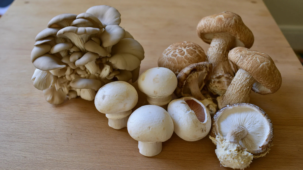 Pleurotes, champignons de Paris et shiitakés cultivés, posés par petits lots sur une table de cuisine, deux d'entre eux retournés pour montrer leurs lames.
