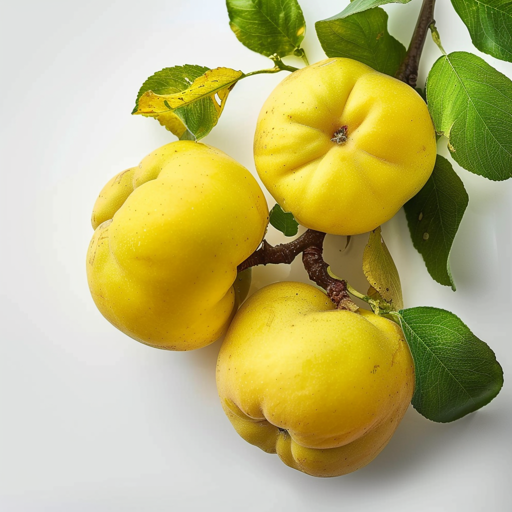 15 Semillas de Membrillero