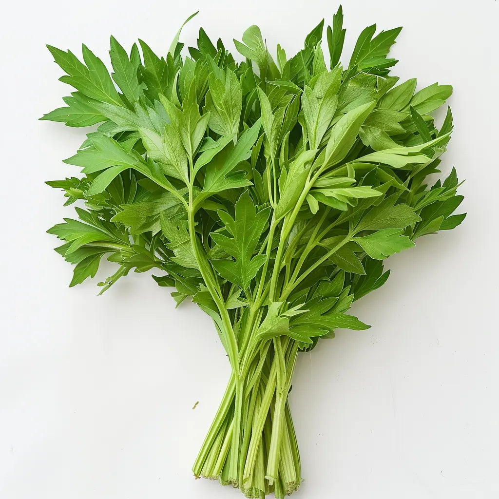 300 เมล็ดของผักชีลาว (levisticum officinale) เซเลอรี่อายุหลายปี