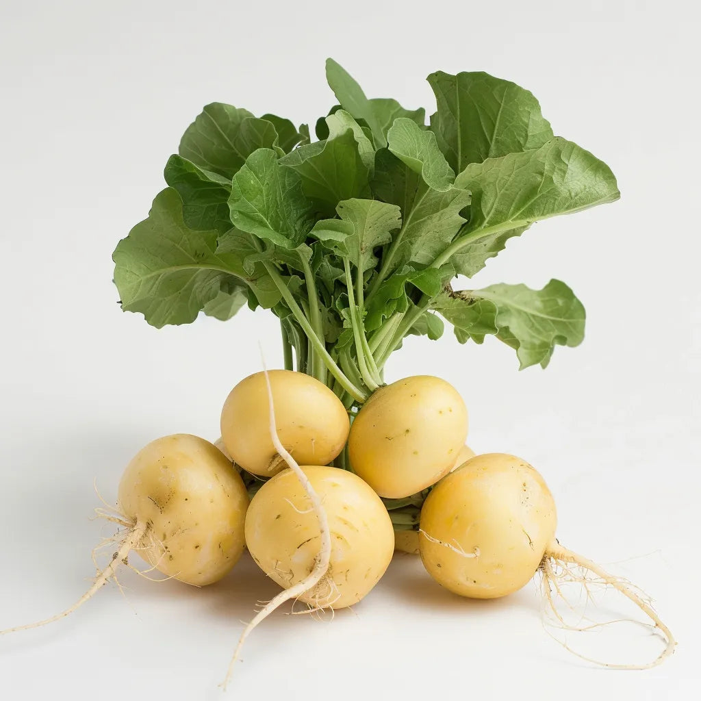 علبة بذور الخضروات - خاص للشرفة والتراس