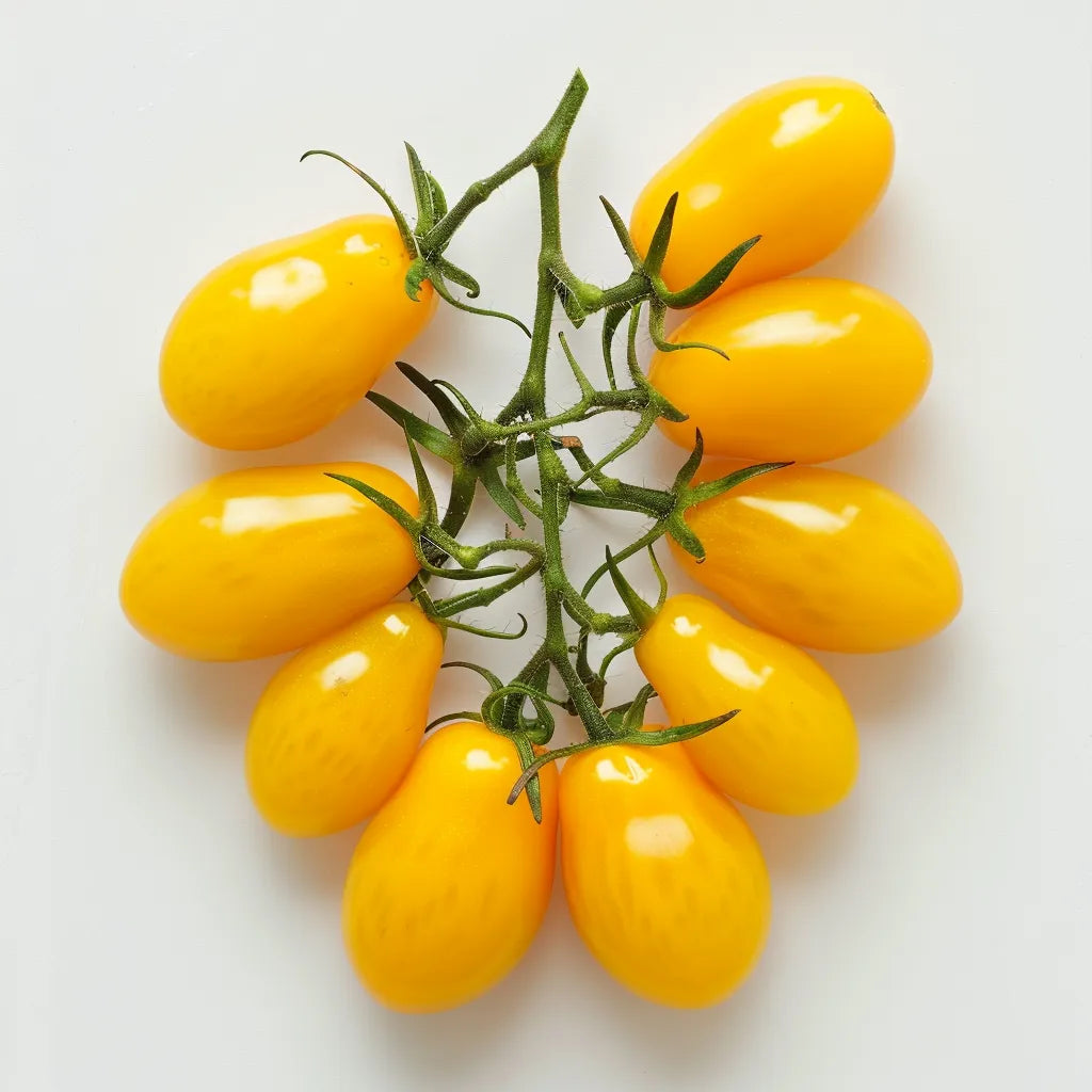 35 노란 배 체리 토마토 씨앗