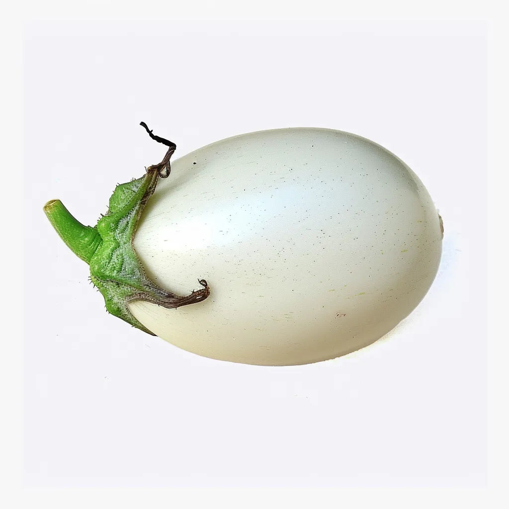 60개의 가지 씨앗 화이트 에그