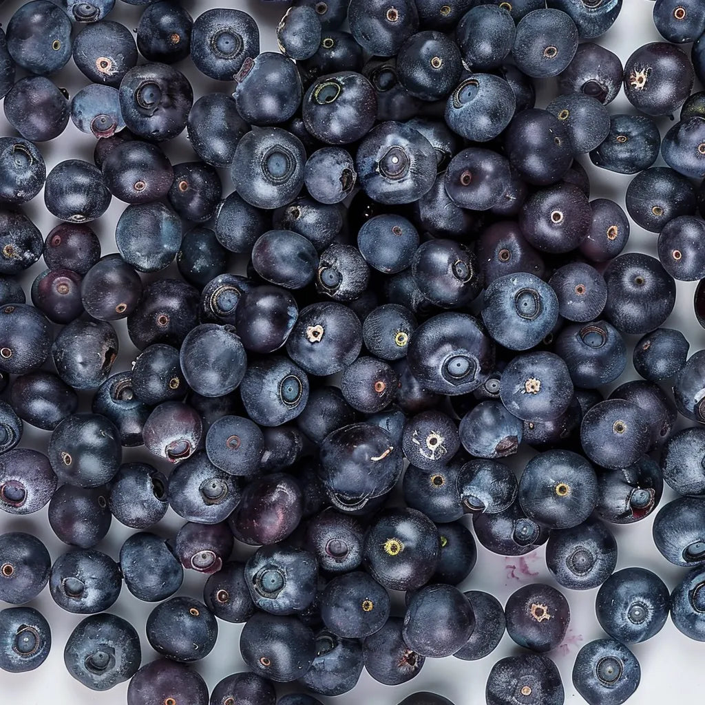 250 Wilde Blauwe Bosbessen Zaden (Airelle Bleu)