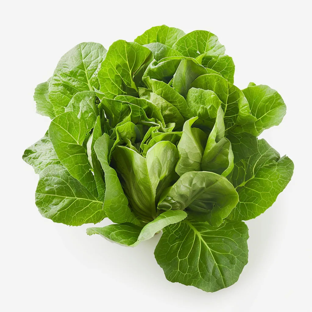 200 वसंत के सलाद के बीज