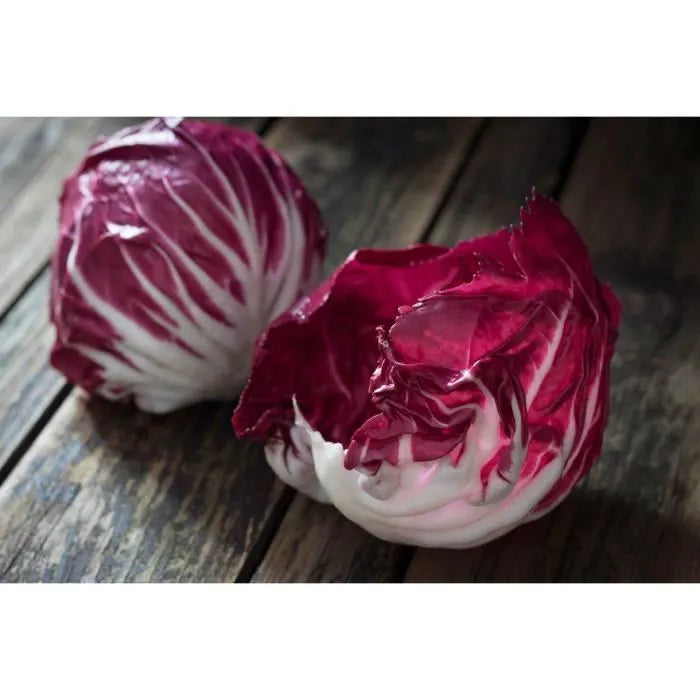 Fröset - Special Sallader