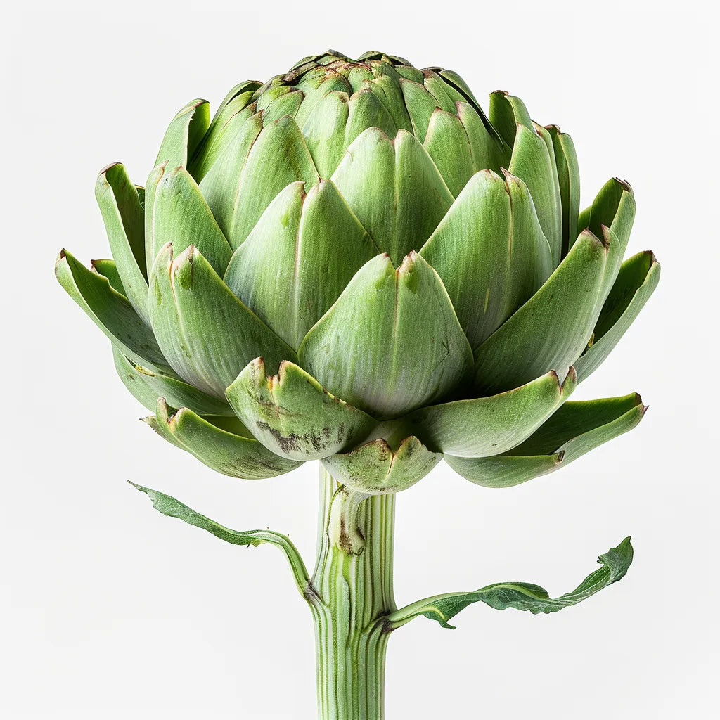 35 Semillas de Alcachofa - huerto - semillas campesinas reproductibles