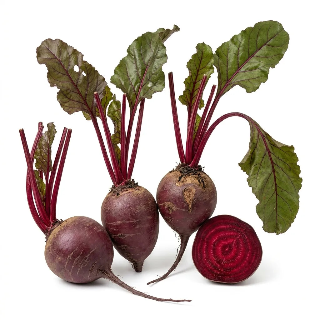 Betteraves rouges (Beta vulgaris) avec fanes, une coupée montrant les anneaux, sur fond blanc — SemiSauvage