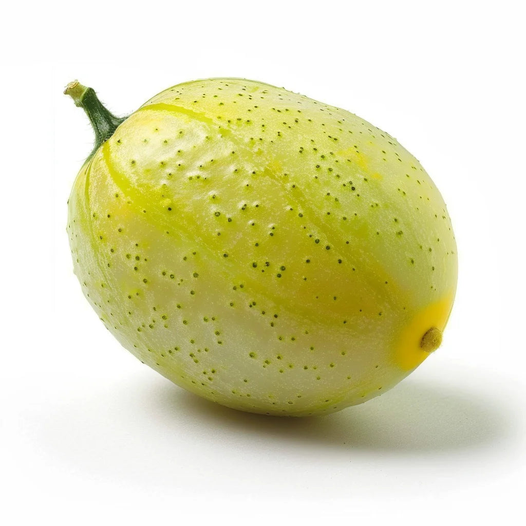 12 เมล็ดแตงกวามะนาว