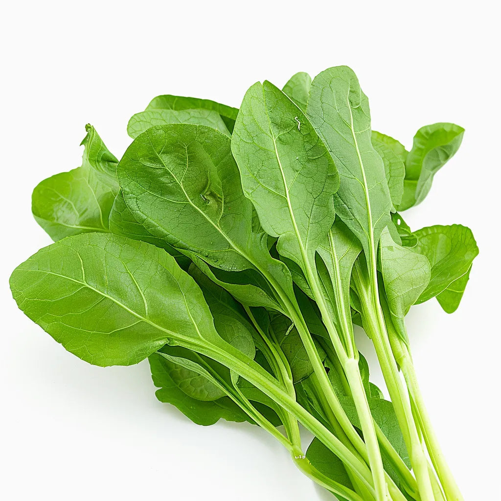 200 ओसैले बीज