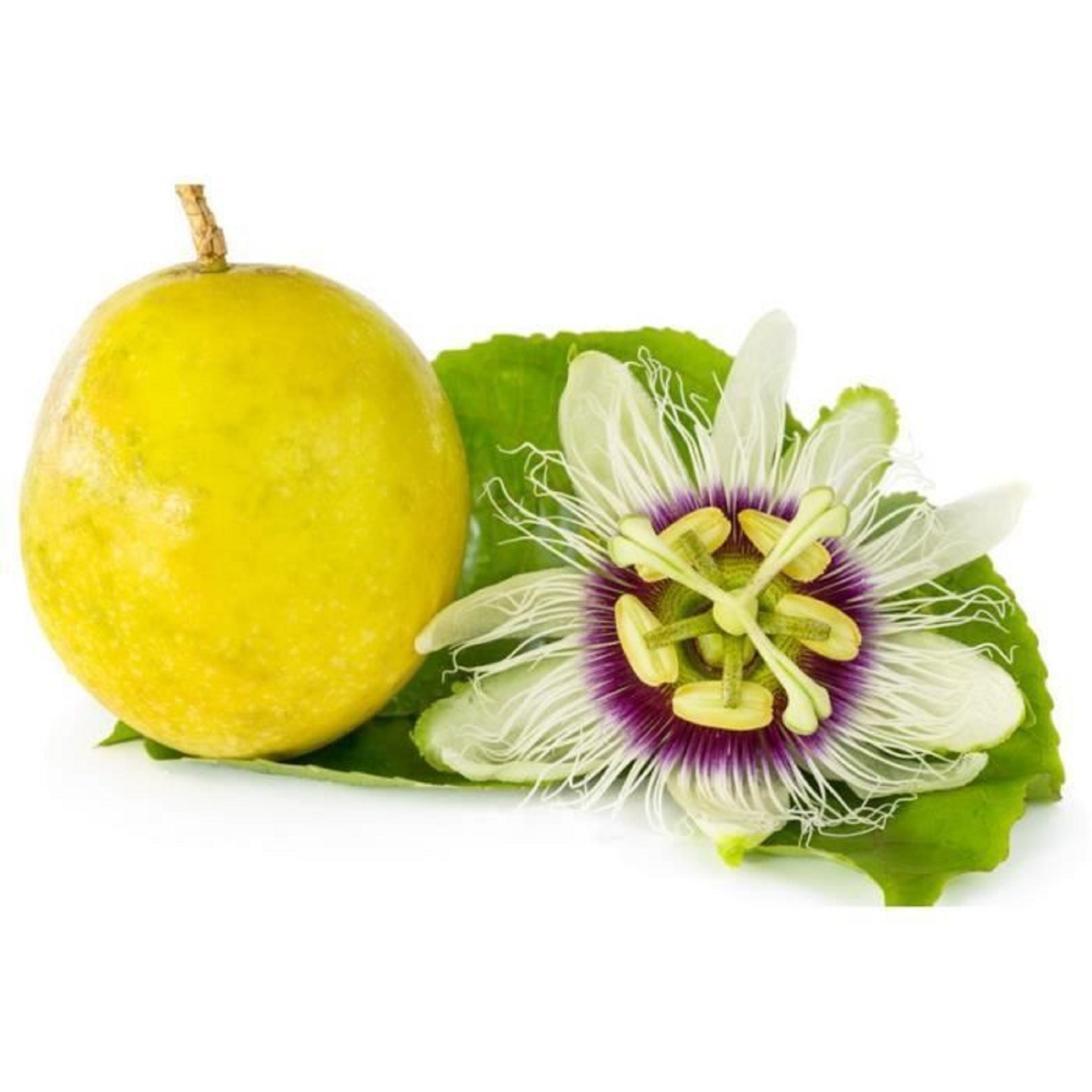 15 グレナディーユの種