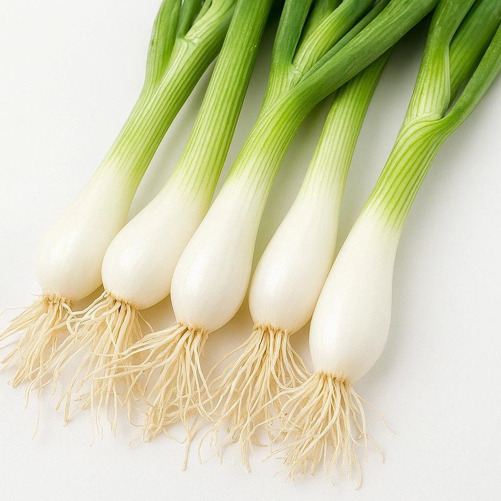 150 Hạt Hành Lá Hành Tây Ishikura (Allium fistulosum)