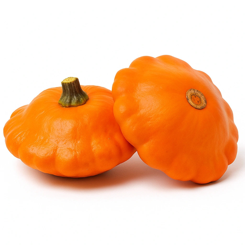 15 Semi di Patisson Arancione (Cucurbita Pepo)