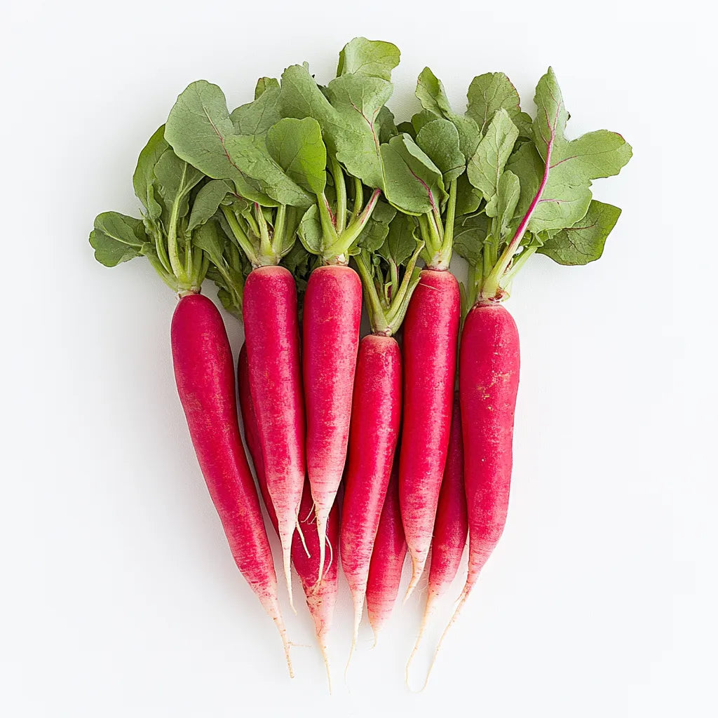 250 Seeds of Oriental Pink Radish