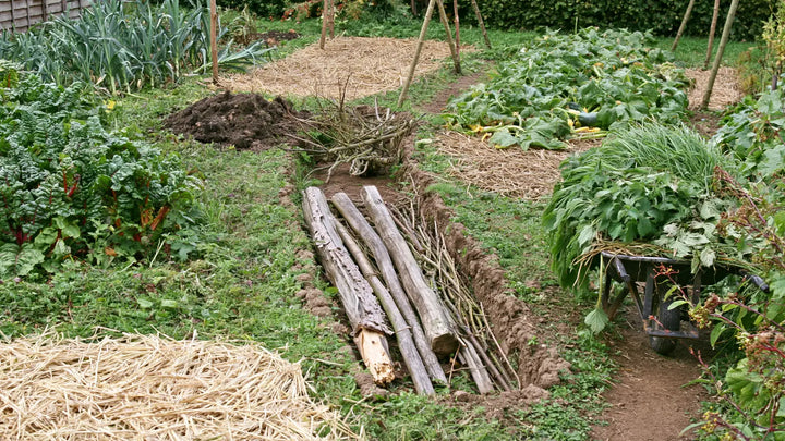 O cultivo em canteiros elevados: uma técnica ancestral para um solo vivo e autónomo