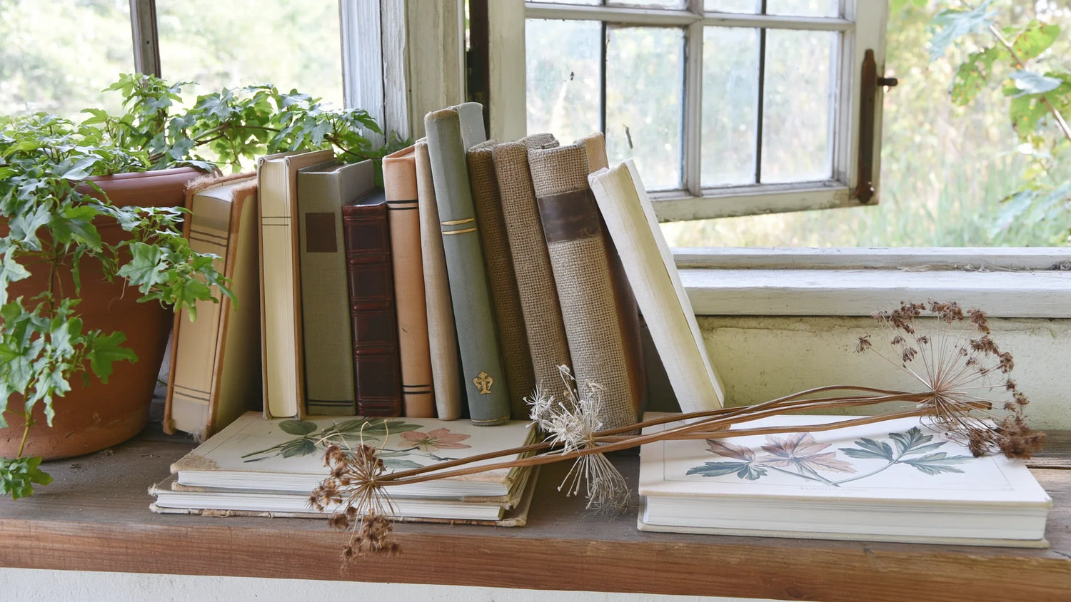 Étagère de livres de jardin aux reliures dépareillées devant une fenêtre à petits carreaux ouverte sur un jardin vert, avec deux planches botaniques posées à plat et des ombelles sèches