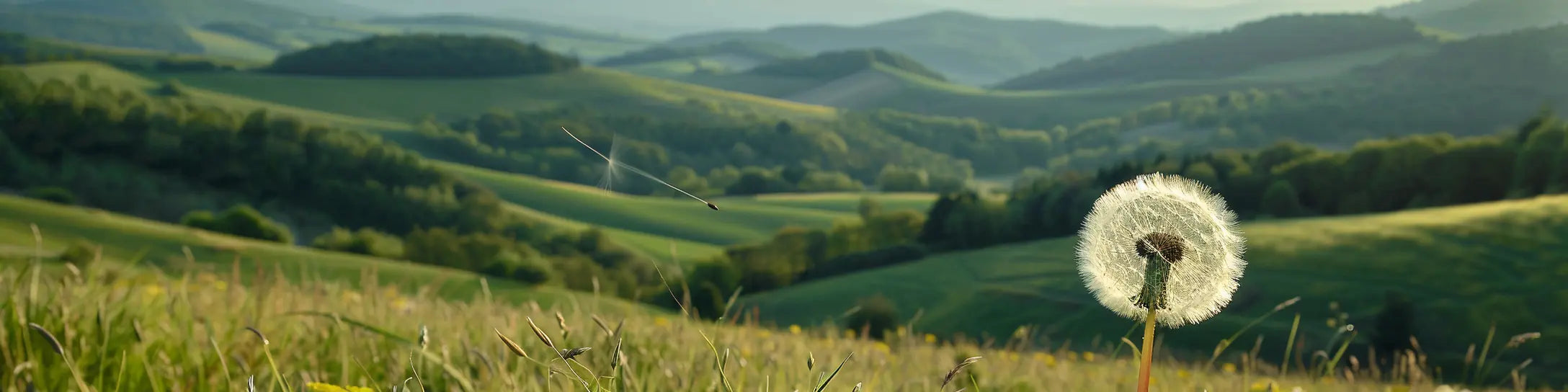 Paysage de permaculture au coucher du jour — lune montante et descendante SemiSauvage