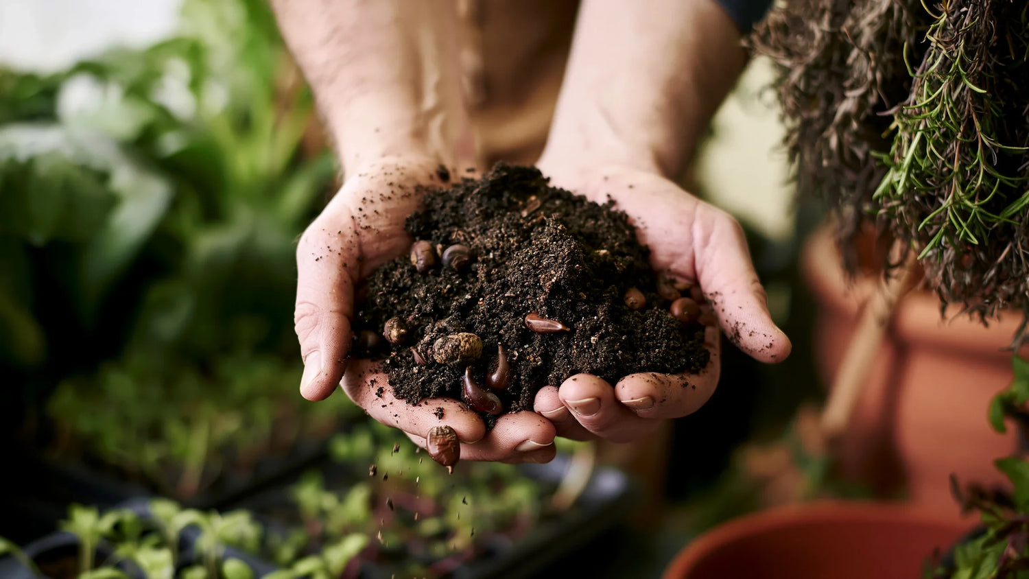 Deux mains tenant une poignée de terre humide mêlée de glands et de noyaux, dans un atelier de jardin
