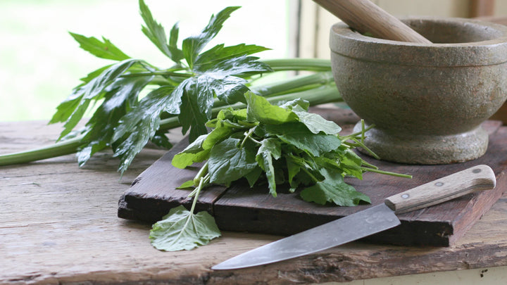 Por que plantar plantas perenes comestíveis? A horta do futuro