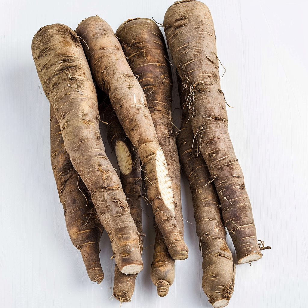 35 Graines de Salsifis Énorme - légumes ancien potager- semences paysannes