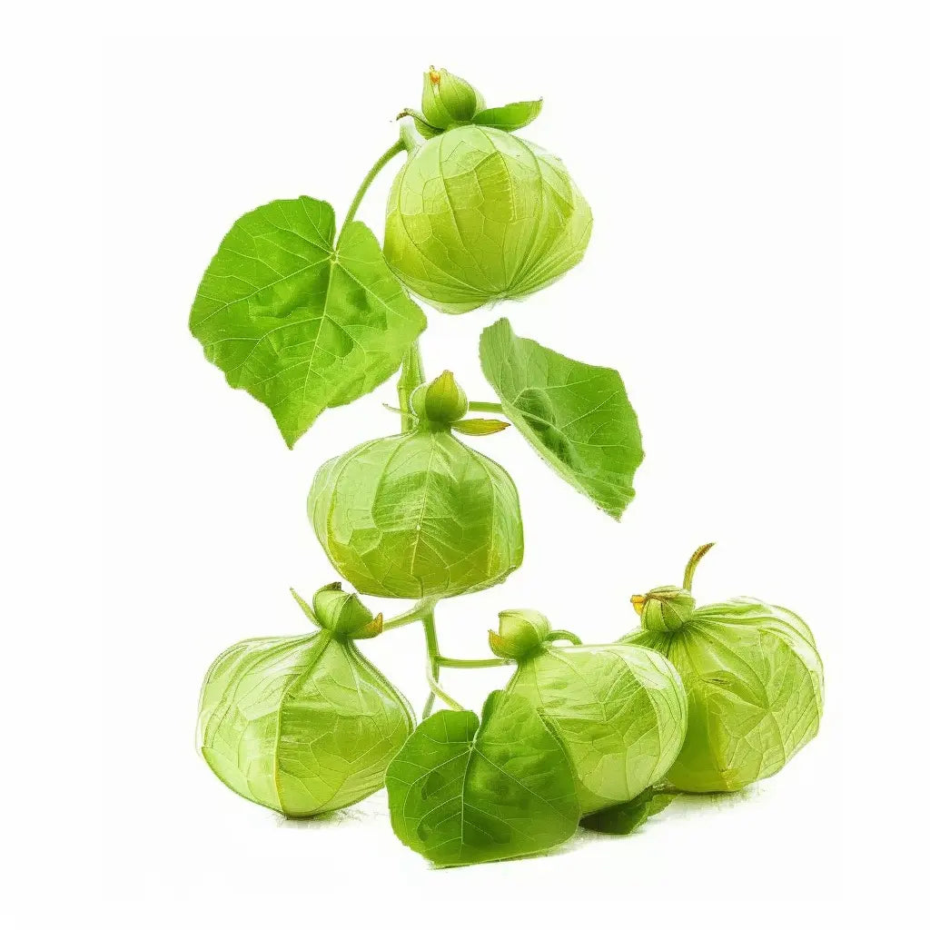 100 Graines de Tomatillo Verte