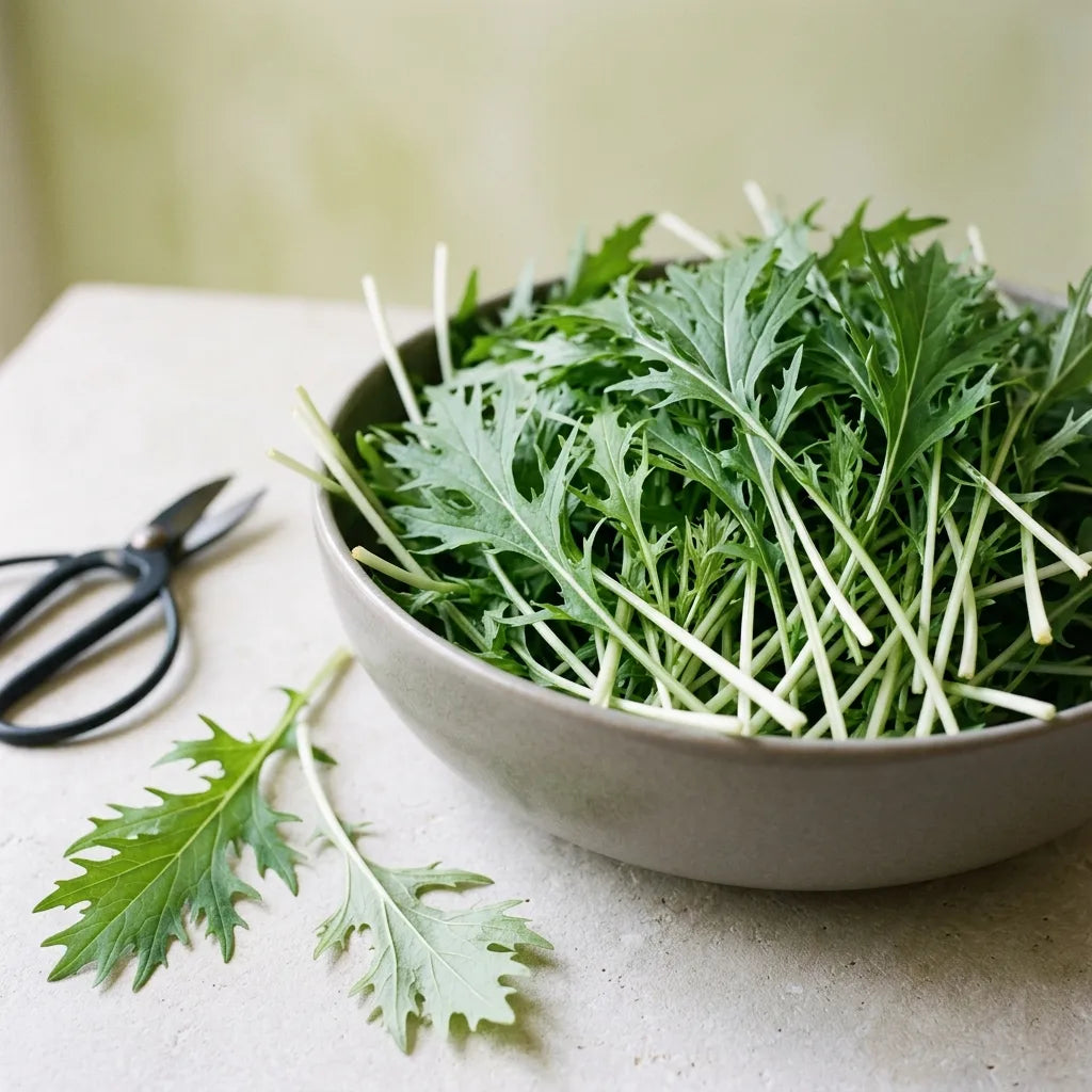 Récolte de feuilles extérieures de mizuna dans un saladier de grès, salade à couper — SemiSauvage