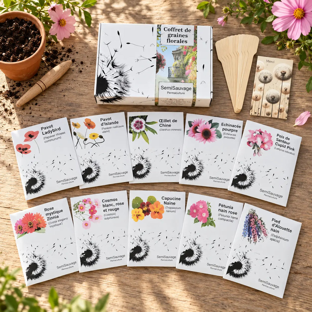 Coffret de graines florales SemiSauvage avec dix sachets disposés en deux éventails de cinq, étiquettes en bois et accessoires de semis.