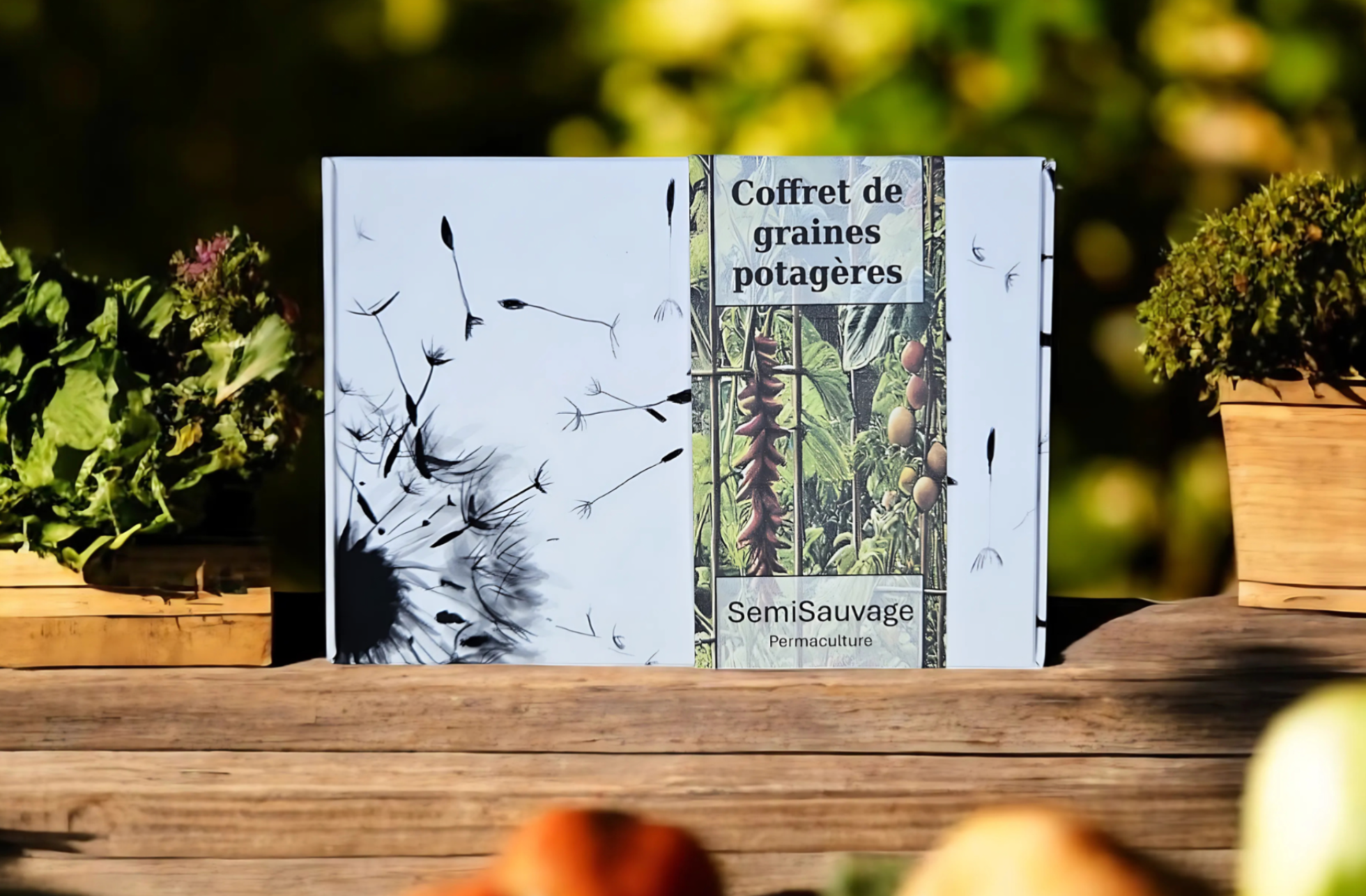 Coffret de Graines - Spécial Légumes du Soleil