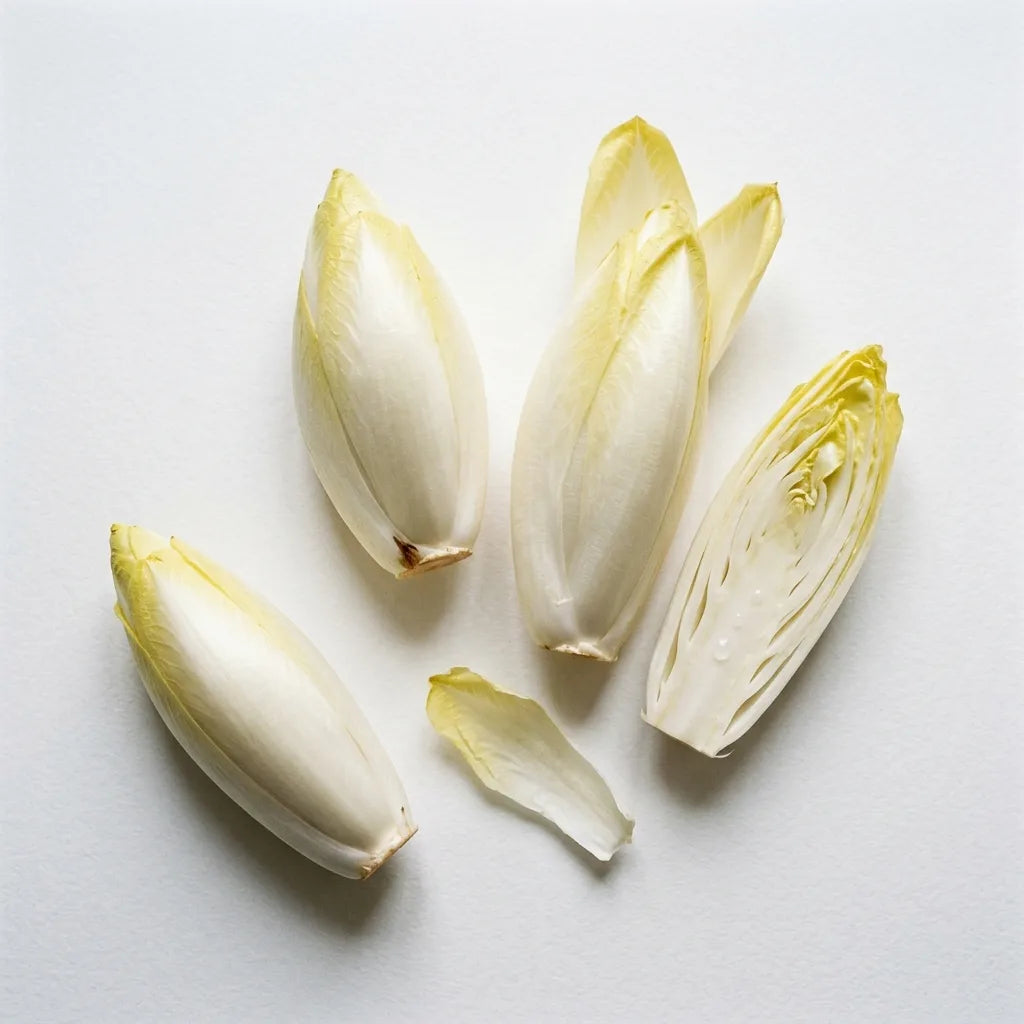 Chicons d'endive blanc ivoire à pointe jaune pâle, dont un coupé en deux montrant le cône dur de la base, sur fond blanc — SemiSauvage