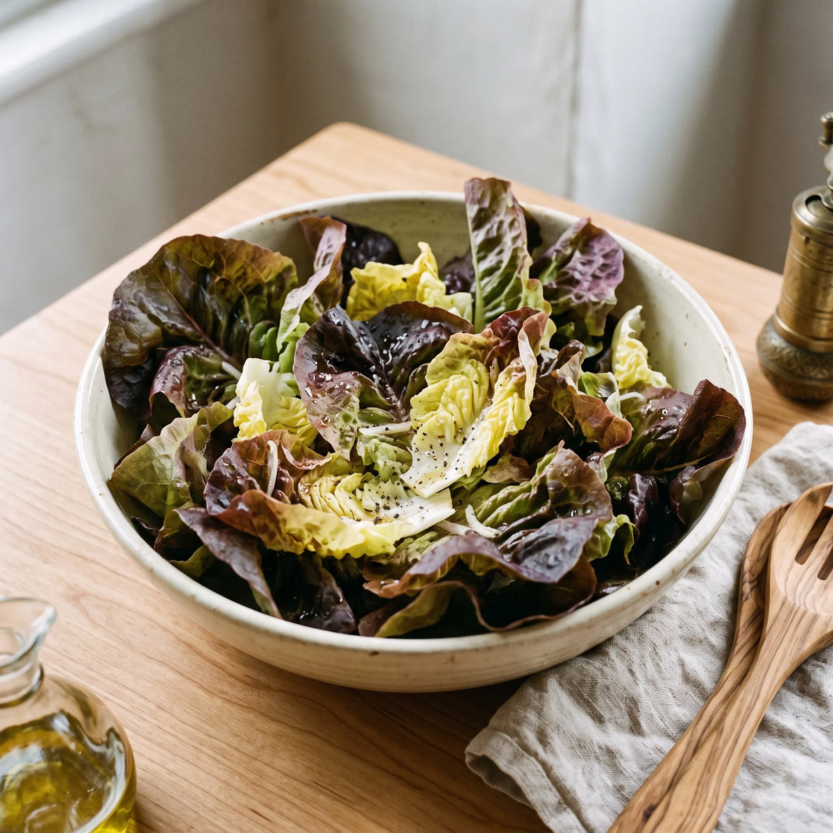 Salade bicolore de laitue Merveille des Quatre Saisons, feuilles rouge bronze et cœur blond