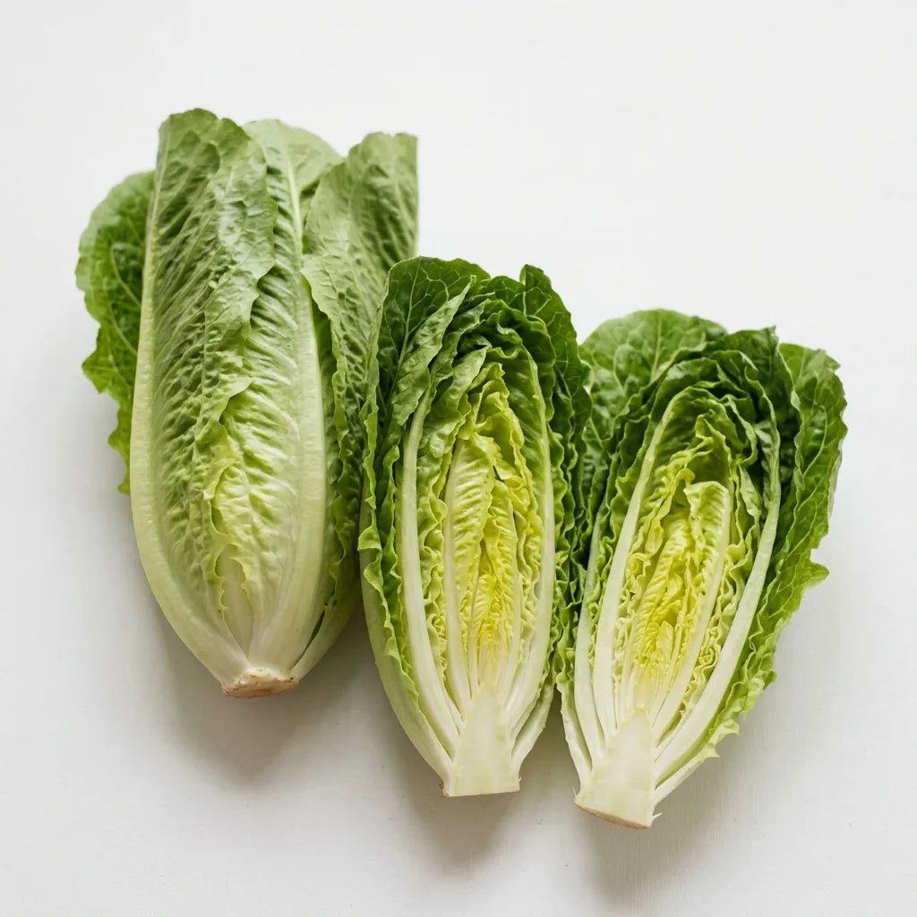 Laitue romaine entière et fendue en deux sur fond blanc, cœur jaune pâle — SemiSauvage
