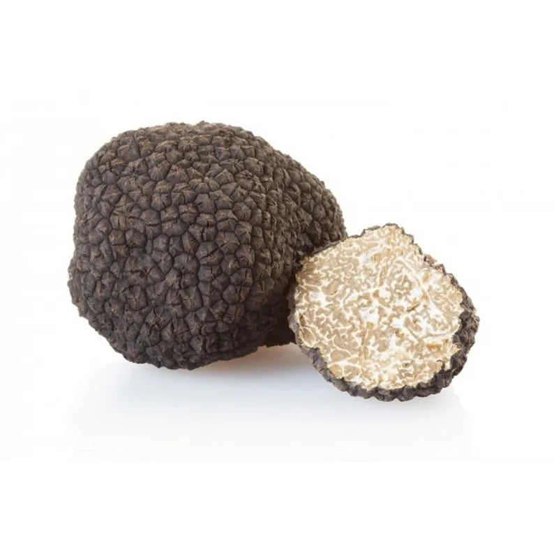 Mycélium de Truffe Blanche d'été - Kit de Culture Champignons