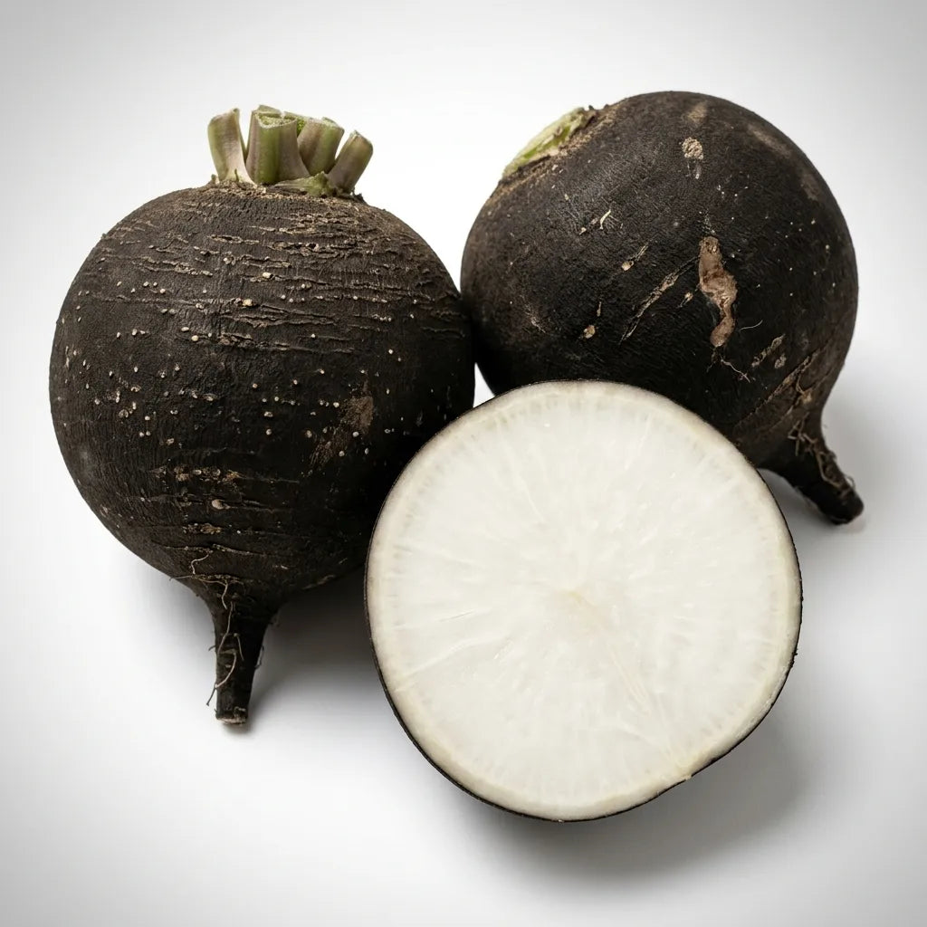 Radis noirs gros ronds d'hiver entiers et coupés, peau noire et chair blanche — SemiSauvage