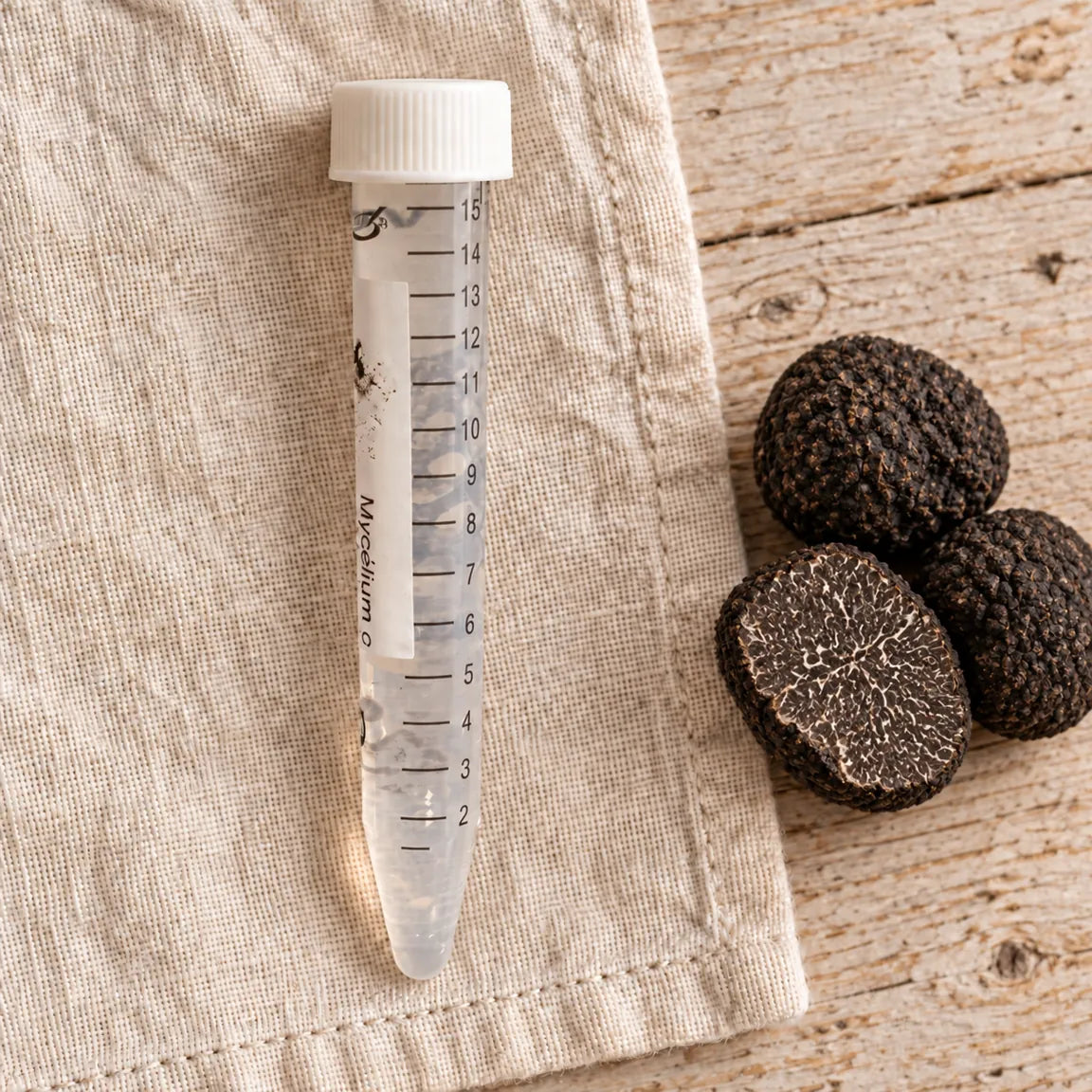 Tube de mycélium liquide de truffe noire du Périgord de 15 ml, sur un linge écru avec les champignons correspondants.